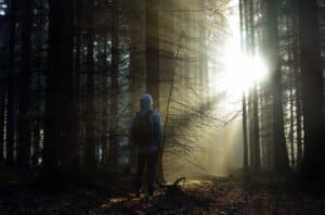 Eine Person in einem Kapuzenpullover steht in einem Wald, beleuchtet vom sanften Morgenlicht, das durch die Bäume scheint und eine mystische Atmosphäre schafft. Die Sonnenstrahlen dringen durch den Nebel und werfen lange Schatten auf den Waldboden.